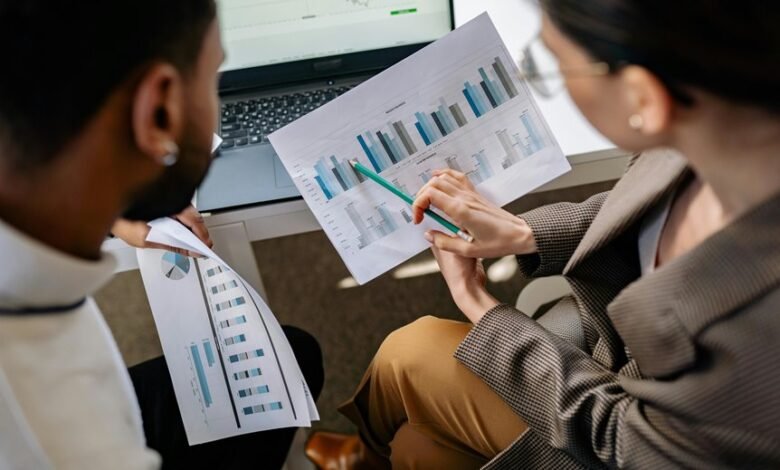 professional digital analytics hub